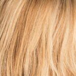 lightbernstein/rooted